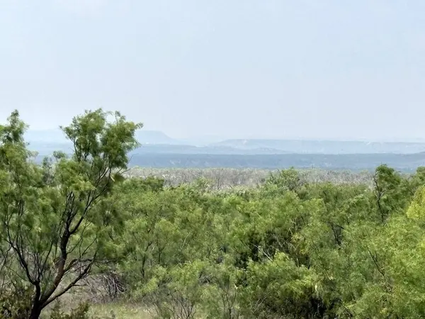 377 Axis Lp, Robert Lee, TX 76945