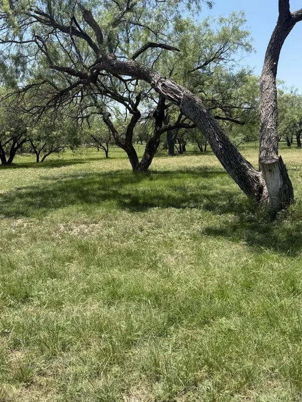 11353 Dove Creek LN, San Angelo, TX 76904