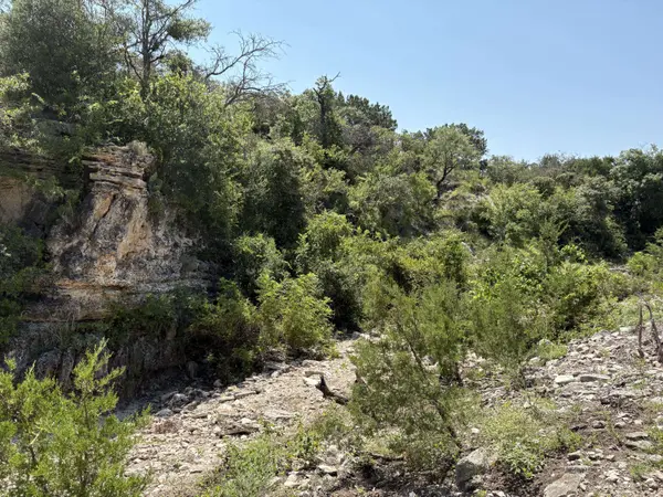 2588 Elm Spgs TRL, Menard, TX 76859
