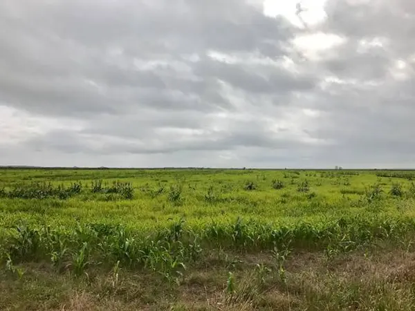 0 S Jameson RD, San Angelo, TX 76901