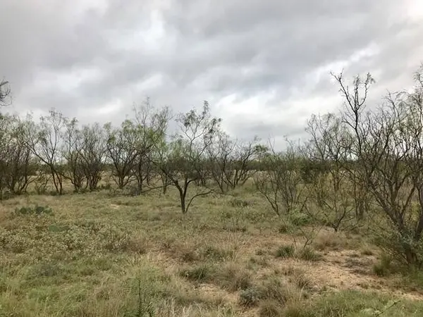 0 S Jameson RD, San Angelo, TX 76901