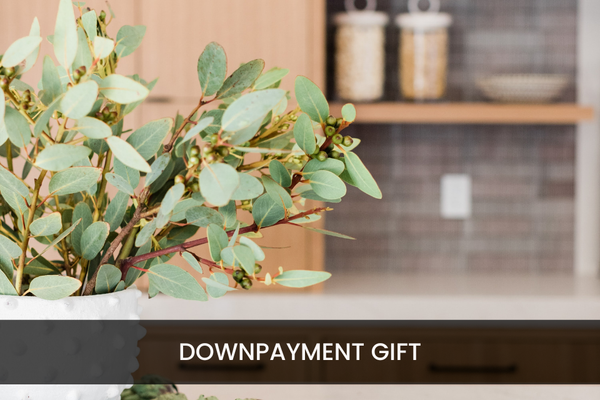 What is a Down Payment Gift and  WhoCanGive it?,TAMARA FIEMA