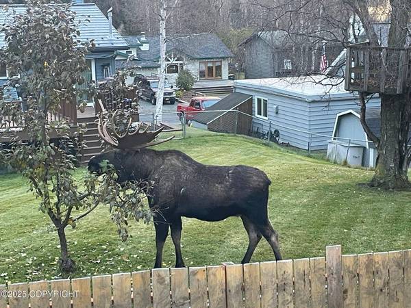 4665 Cascade CIR, Anchorage, AK 99502