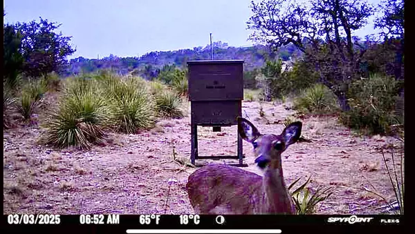 1200 Lipan Apache RUN, Blanco, TX 78606