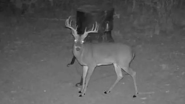 1200 Lipan Apache RUN, Blanco, TX 78606