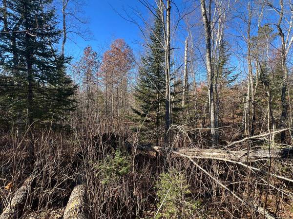 ON HEART LAKE RD, Land O Lakes, WI 54540