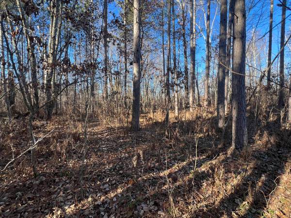 ON HEART LAKE RD, Land O Lakes, WI 54540