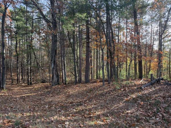 1.61 ac MADELINE LN, Eagle River, WI 54521