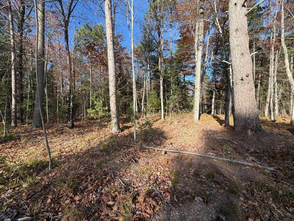 1.51 ac MADELINE LN
