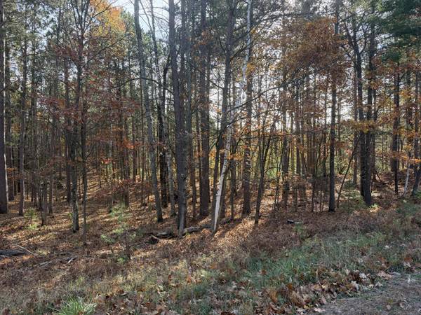 1.61 ac MADELINE LN, Eagle River, WI 54521