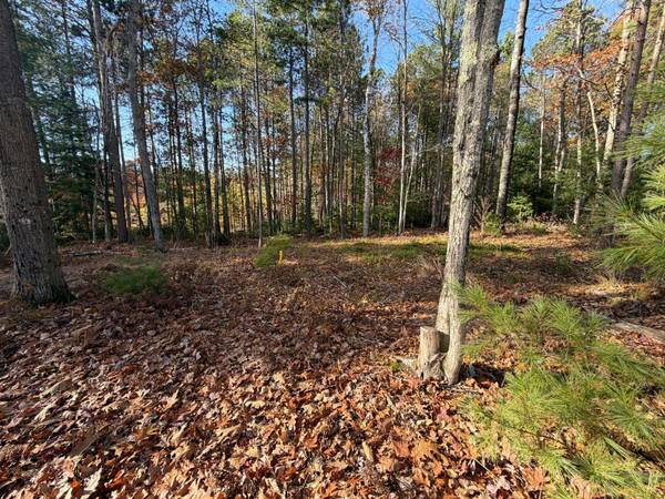 1.51 ac MADELINE LN, Eagle River, WI 54521