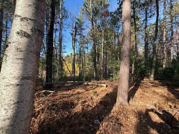 1.58 ac MADELINE LN, Eagle River, WI 54521