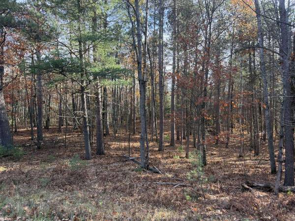 1.61 ac MADELINE LN, Eagle River, WI 54521