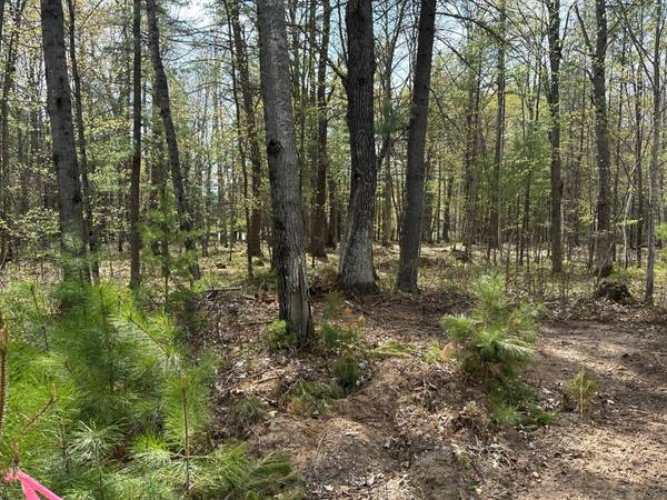 Lot 3 PINE BREEZE WAY, Eagle River, WI 54521