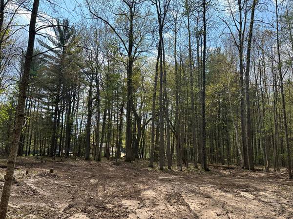Lot 3 PINE BREEZE WAY, Eagle River, WI 54521