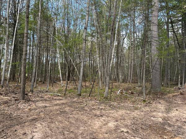 Lot 3 PINE BREEZE WAY, Eagle River, WI 54521