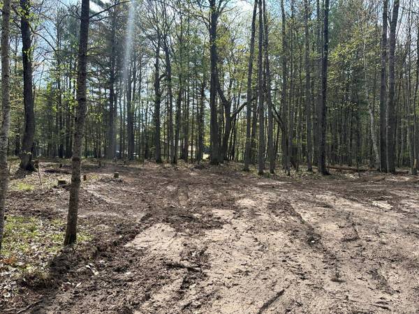 Lot 3 PINE BREEZE WAY, Eagle River, WI 54521