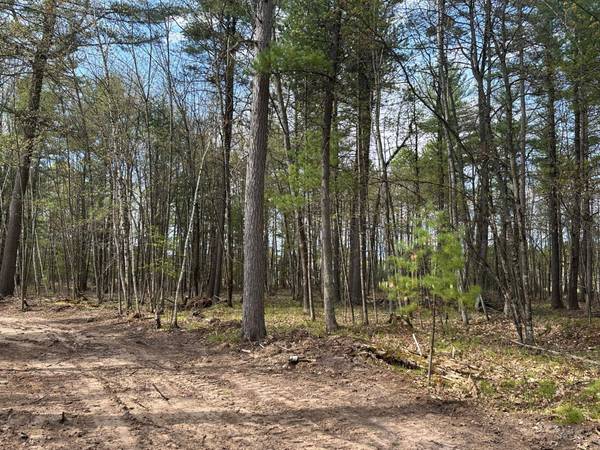 Lot 3 PINE BREEZE WAY, Eagle River, WI 54521