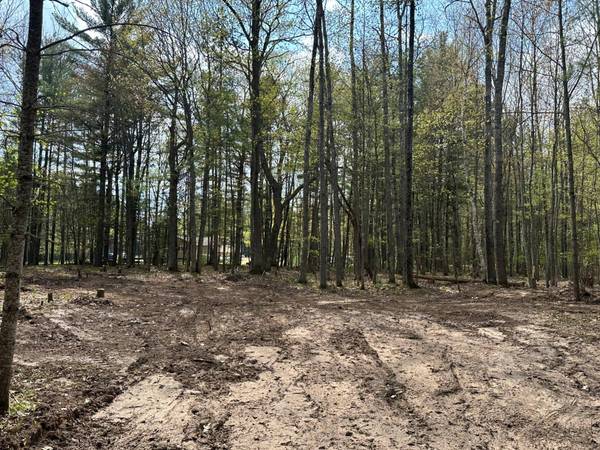Lot 3 PINE BREEZE WAY, Eagle River, WI 54521