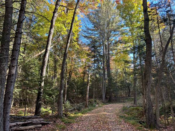 5410 HWY 70, Eagle River, WI 54521