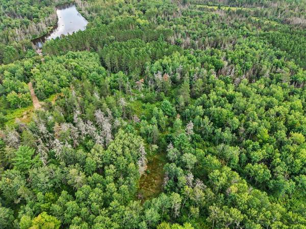 ON RIVER RD #25-Acres, Eagle River, WI 54521
