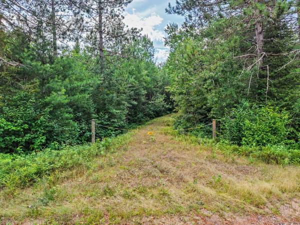 ON RIVER RD #25-Acres, Eagle River, WI 54521