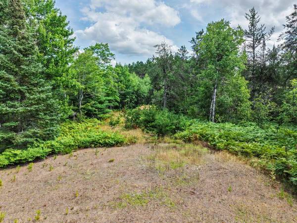 ON RIVER RD #25-Acres, Eagle River, WI 54521