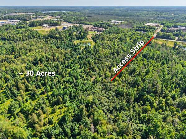 off CHIPPEWA DR #30 Acres, Rhinelander, WI 54501