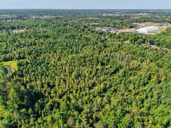 off CHIPPEWA DR #30 Acres, Rhinelander, WI 54501