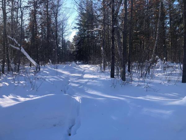 Lot 3 CLEMENCE LN, St Germain, WI 54558