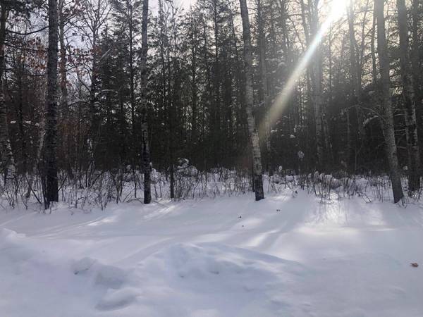 Lot 3 CLEMENCE LN, St Germain, WI 54558
