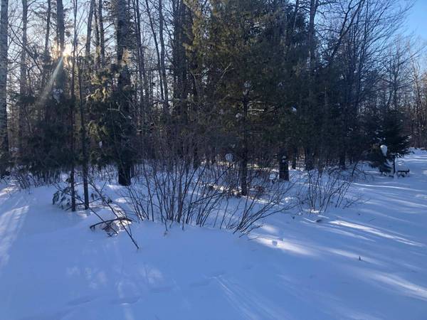 Lot 3 CLEMENCE LN, St Germain, WI 54558