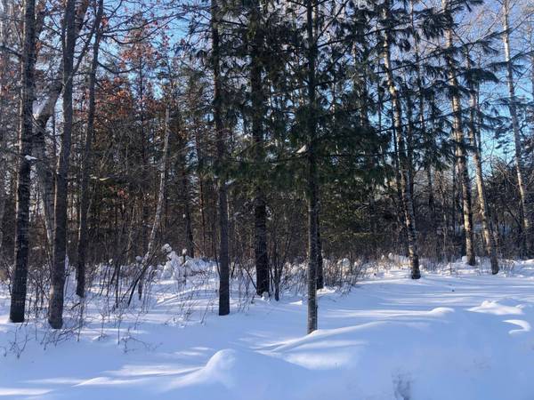 Lot 3 CLEMENCE LN, St Germain, WI 54558