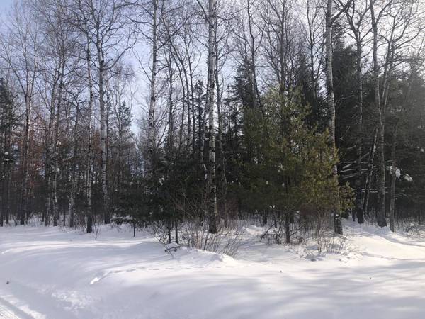 Lot 3 CLEMENCE LN, St Germain, WI 54558