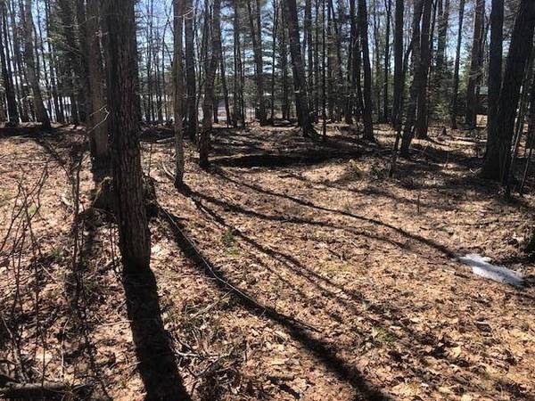 Lot on EDDIES DR, Eagle River, WI 54521