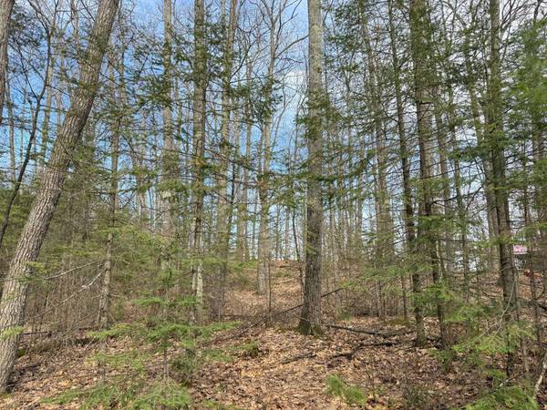 Lot On FALLEN LEAF LN, Sugar Camp, WI 54521