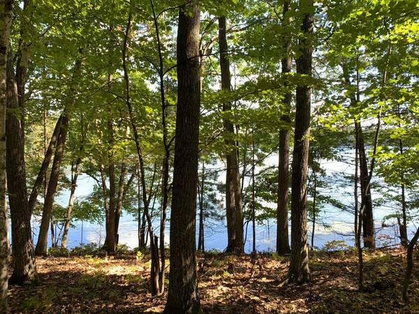 Lot On FALLEN LEAF LN, Sugar Camp, WI 54521