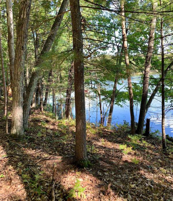 Lot On FALLEN LEAF LN, Sugar Camp, WI 54521