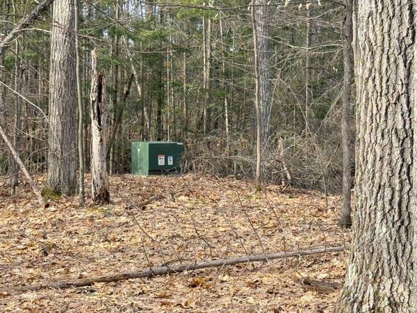 Lot On FALLEN LEAF LN, Sugar Camp, WI 54521