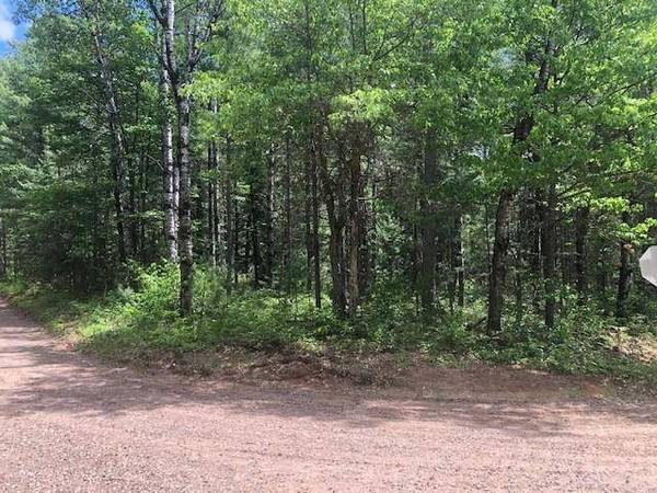 Lot on CAMP 12 RD, Eagle River, WI 54519