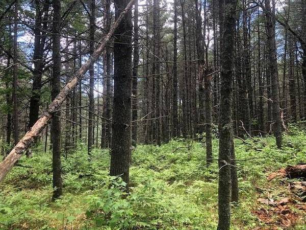 Lot on CAMP 12 RD, Eagle River, WI 54519