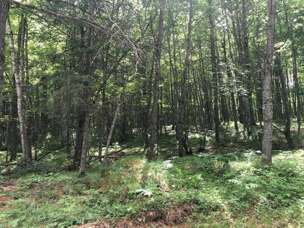 Lot on STAR LAKE RD, Eagle River, WI 54519