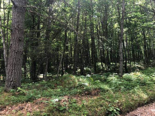 Lot on STAR LAKE RD, Eagle River, WI 54519