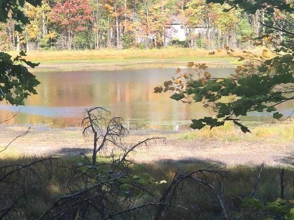 Lot on PATRICE PINES LN, Minocqua, WI 54548