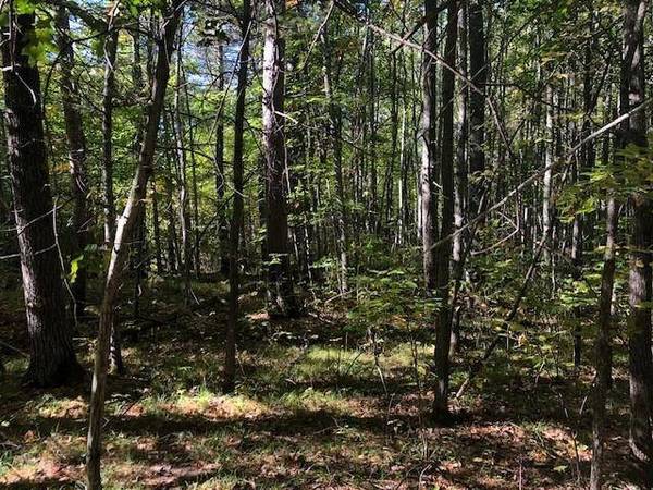 Lot on PATRICE PINES LN