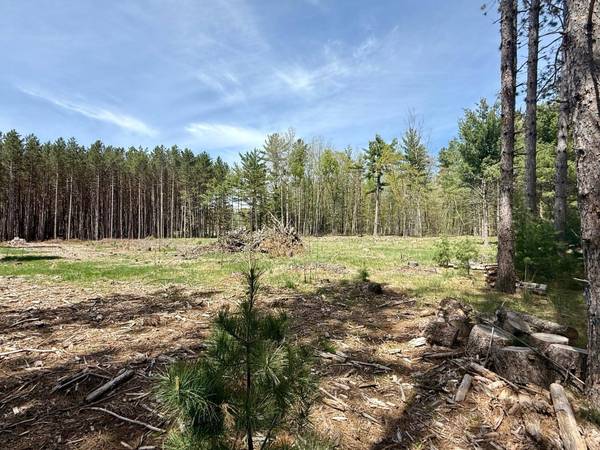 4342 PINE BREEZE WAY, Eagle River, WI 54521