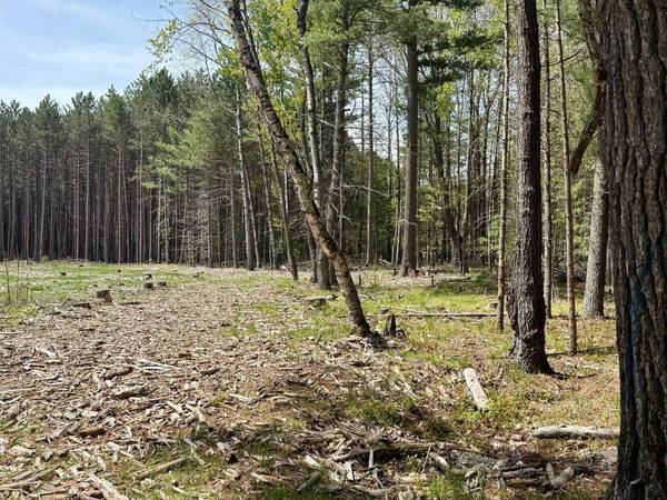 4342 PINE BREEZE WAY, Eagle River, WI 54521