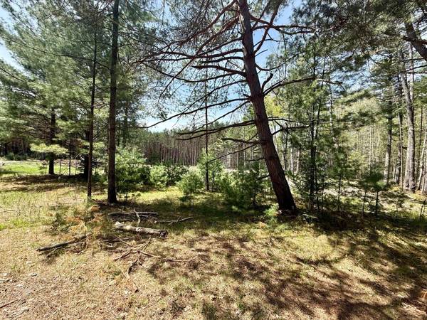 4342 PINE BREEZE WAY, Eagle River, WI 54521