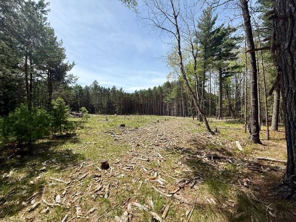 4342 PINE BREEZE WAY, Eagle River, WI 54521