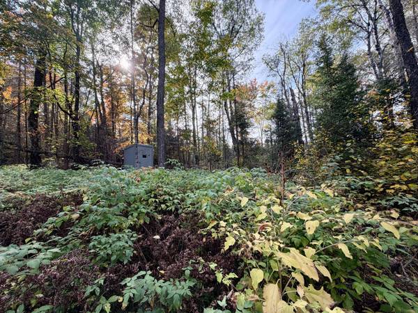 9403 CTH A, Alvin, WI 54542